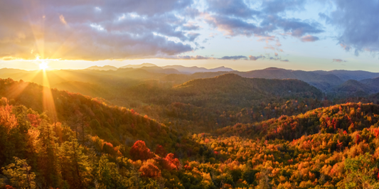 Finding Fall Color at Queen Wilhemina