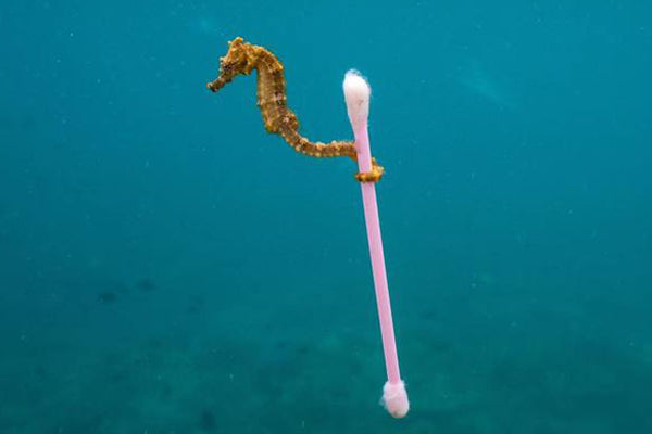 EU votes overwhelmingly to ban single-use plastics