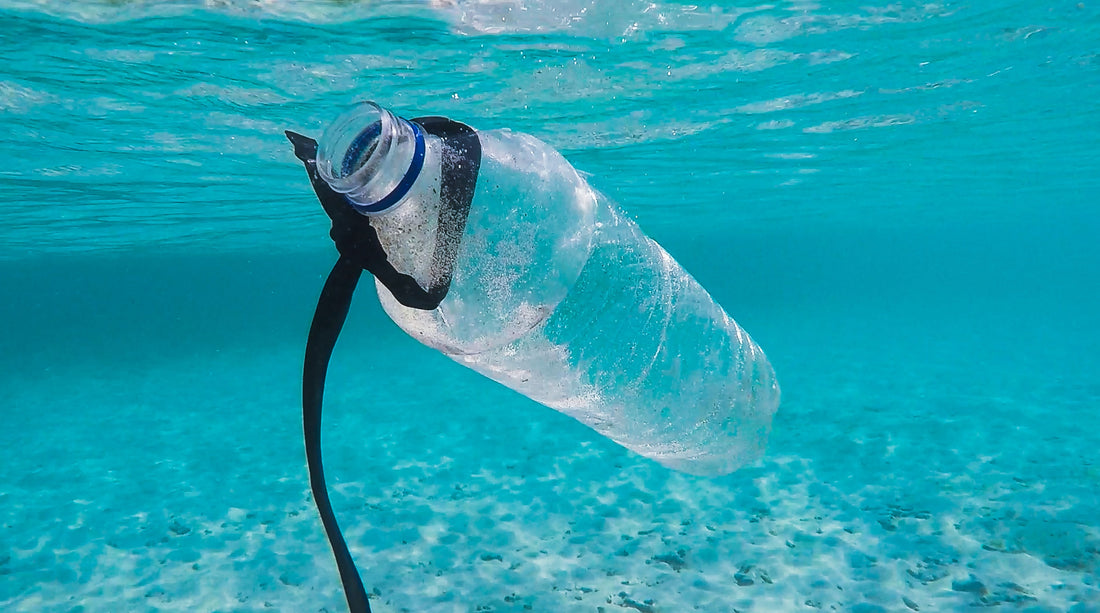 Plastic Pollution and its Devastating Toll on our Ocean